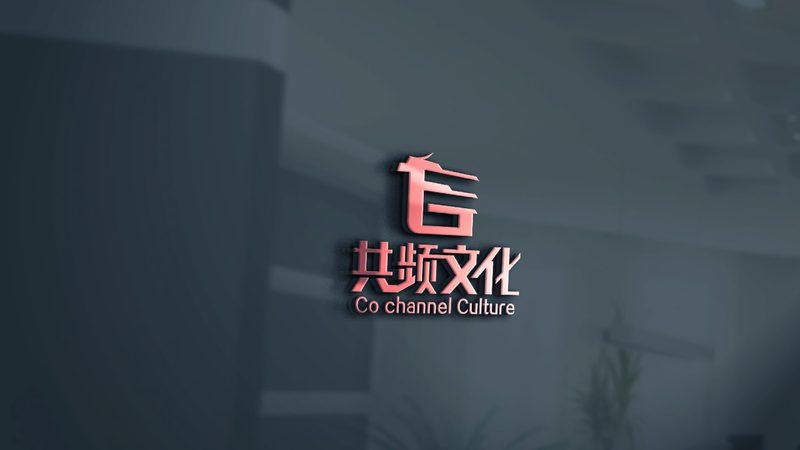 纪录片拍摄公司报价单：揭秘纪录片制作的成本构成**